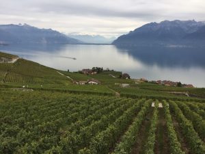 immobilier en haute-savoie
